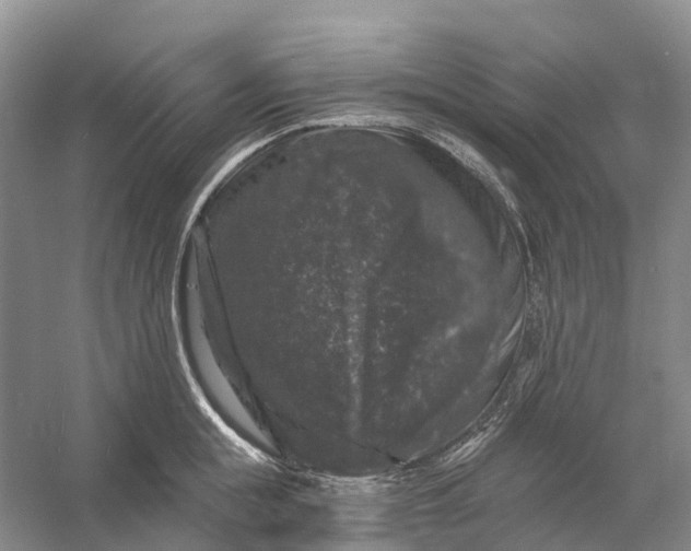 X0000060790855200512011704