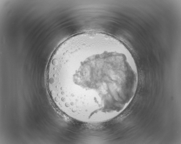 X0000060790856200512011704