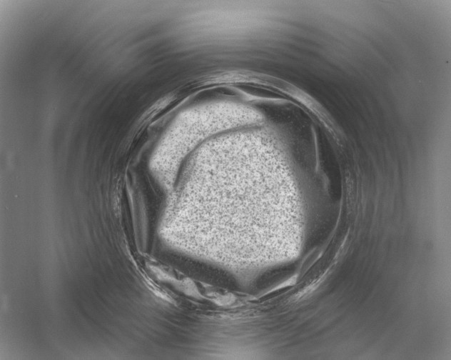 X0000060790857200512011704