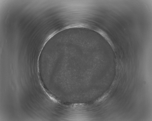 X0000060790858200512011704