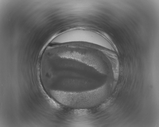 X0000060790859200512011704