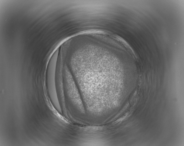 X0000060790860200512011704