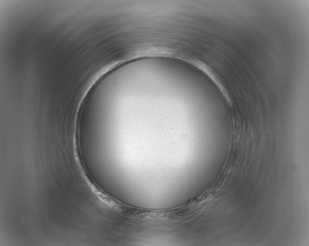 X0000060790861200512011704