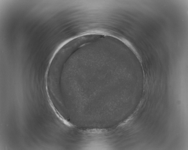 X0000060790862200512011704