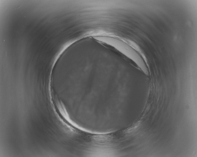 X0000060790863200512011704