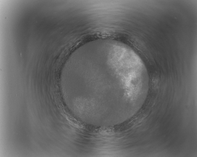 X0000060790865200512011703