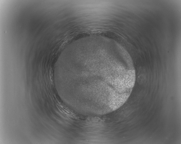 X0000060790866200512011703