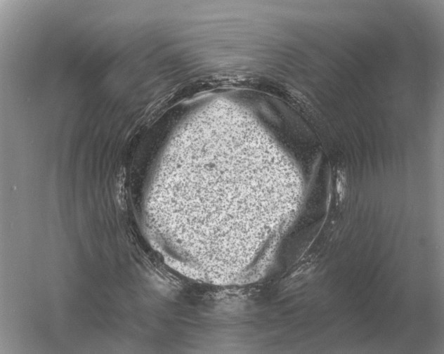 X0000060790867200512011703