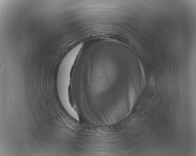 X0000060790868200512011703