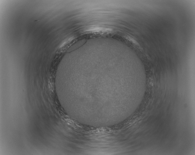 X0000060790869200512011703