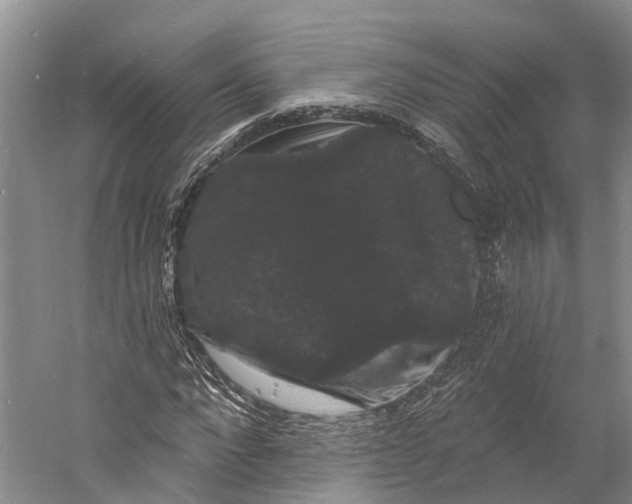 X0000060790872200512011703