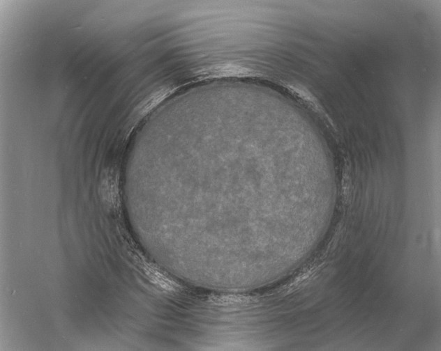 X0000060790873200512011703