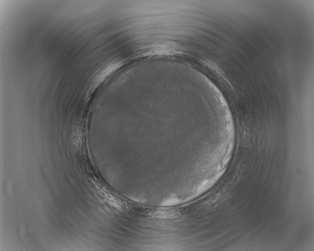 X0000060790874200512011703