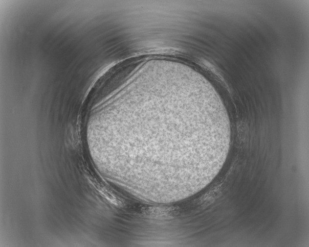 X0000060790875200512011703