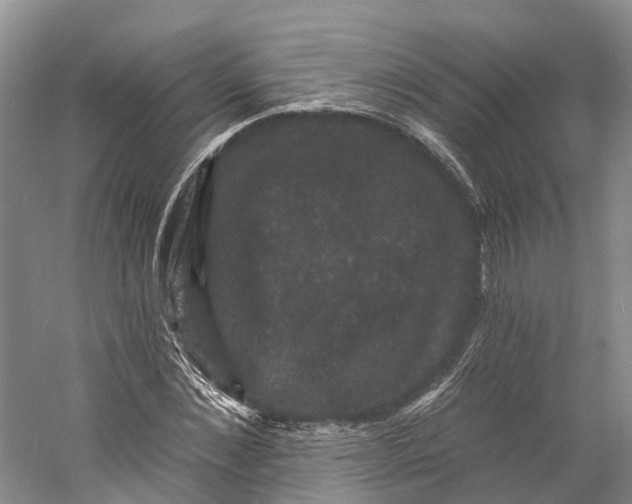 X0000060790876200512011703