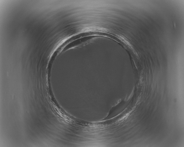 X0000060790877200512011703