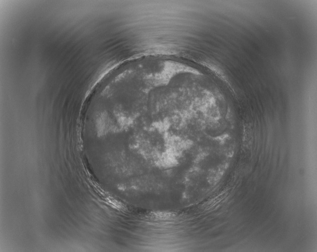 X0000060790878200512011703