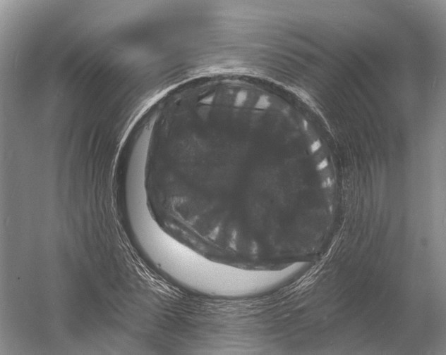 X0000060790879200512011703