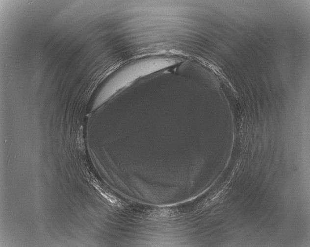 X0000060790881200512011703