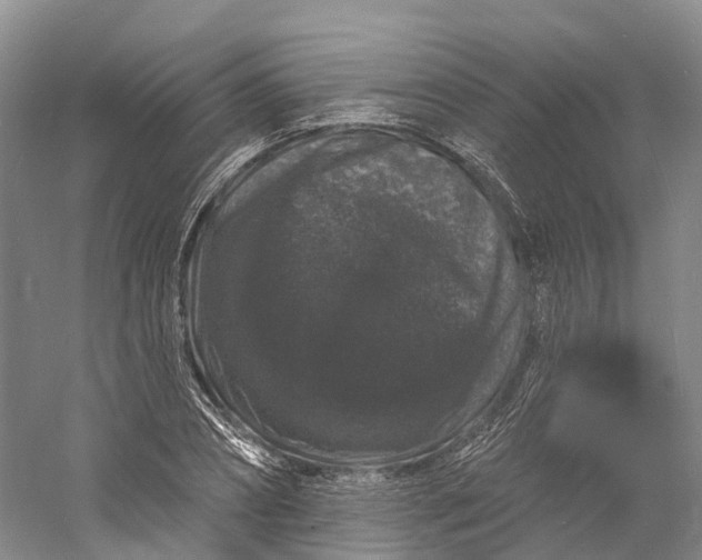 X0000060790882200512011703