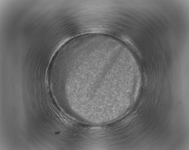 X0000060790883200512011703