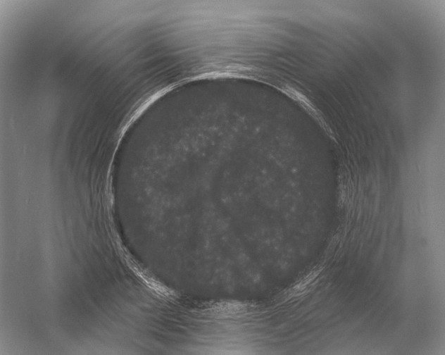 X0000060790885200512011703