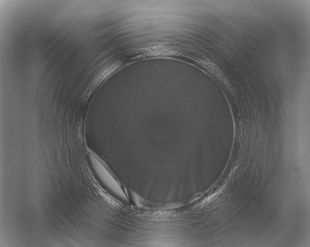 X0000060790889200512011703