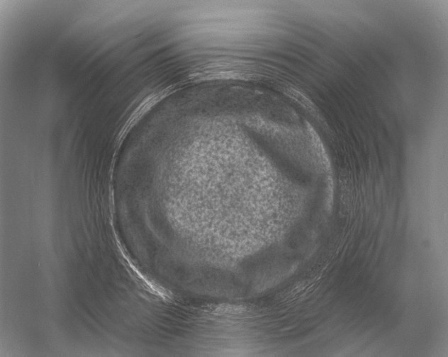 X0000060790890200512011703