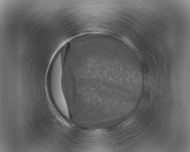 X0000060790891200512011703