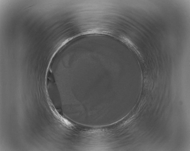 X0000060790892200512011703