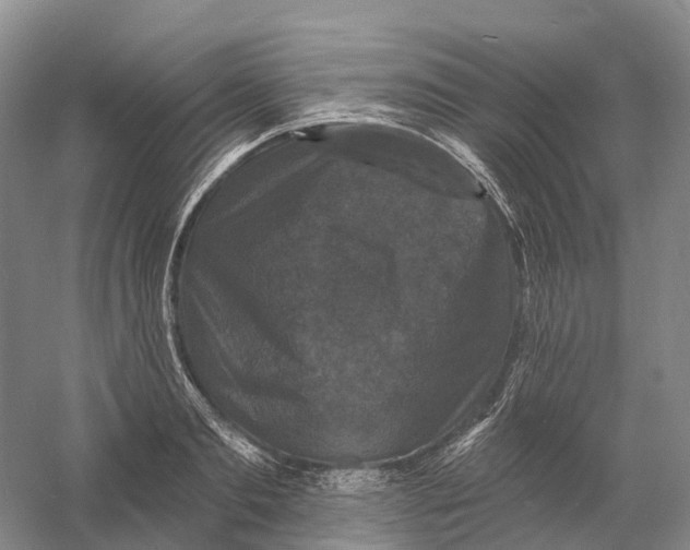 X0000060790893200512011703