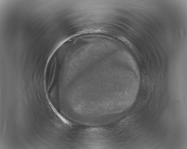 X0000060790894200512011703