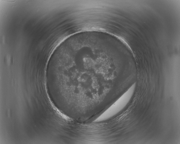 X0000060790895200512011703