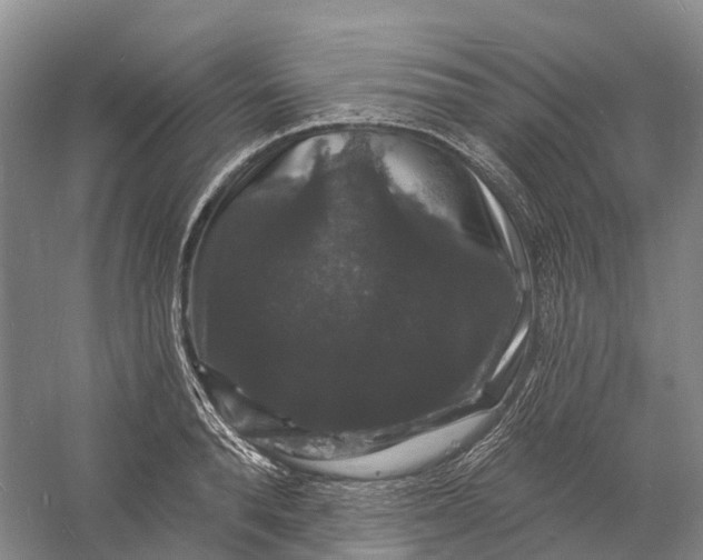 X0000060790896200512011703