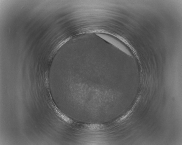 X0000060790897200512011703