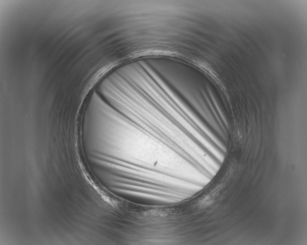 X0000060790898200512011703