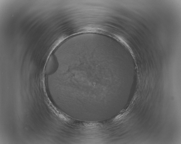 X0000060790899200512011703