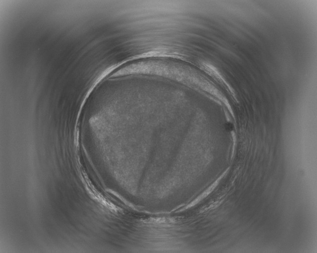 X0000060790900200512011702