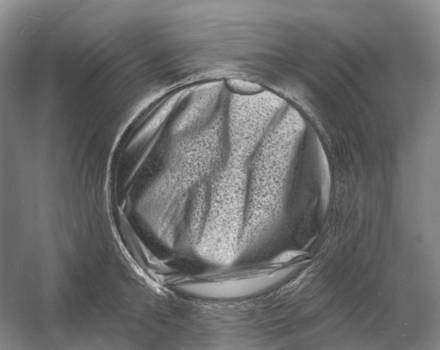 X0000060790902200512011702