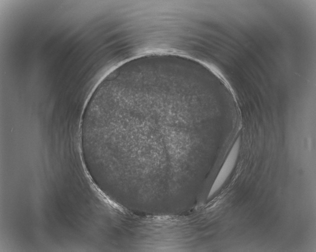 X0000060790903200512011702