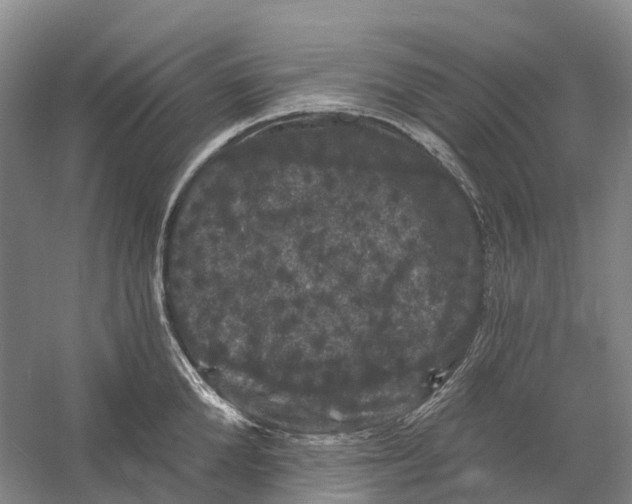 X0000060790904200512011702