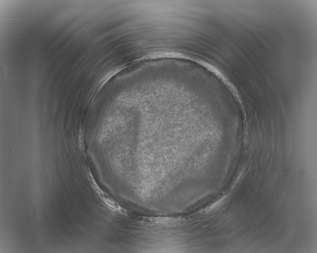 X0000060790905200512011702