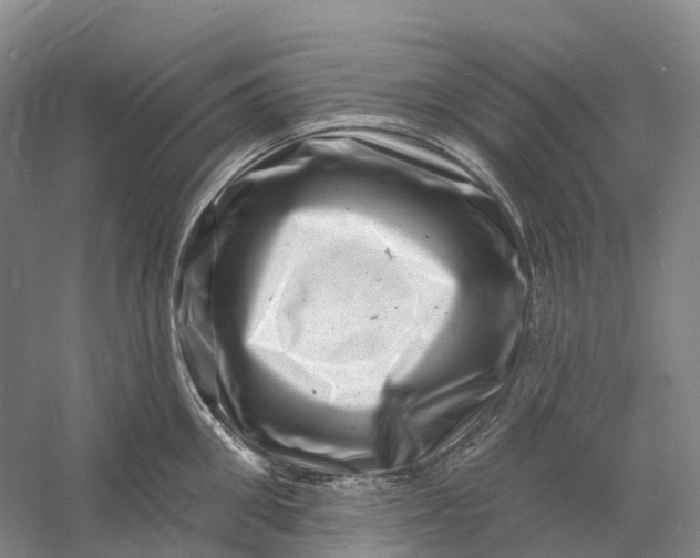 X0000060790906200512011702