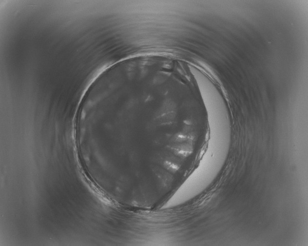 X0000060790907200512011702