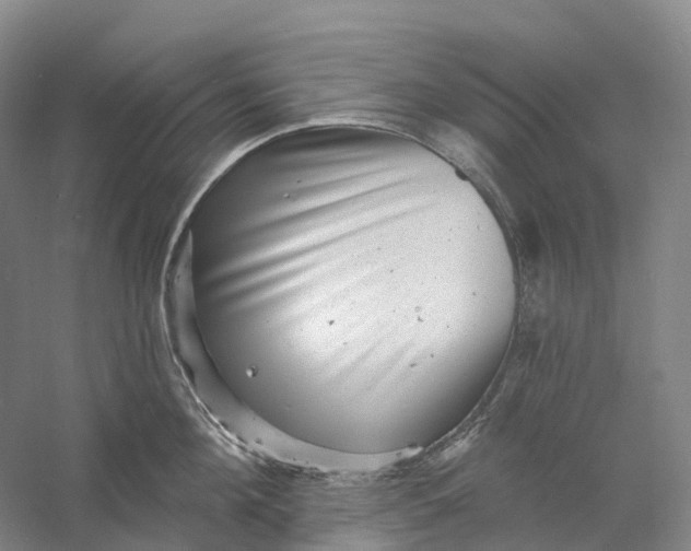 X0000060790908200512011702