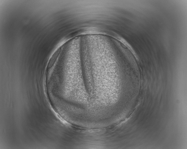 X0000060790909200512011702