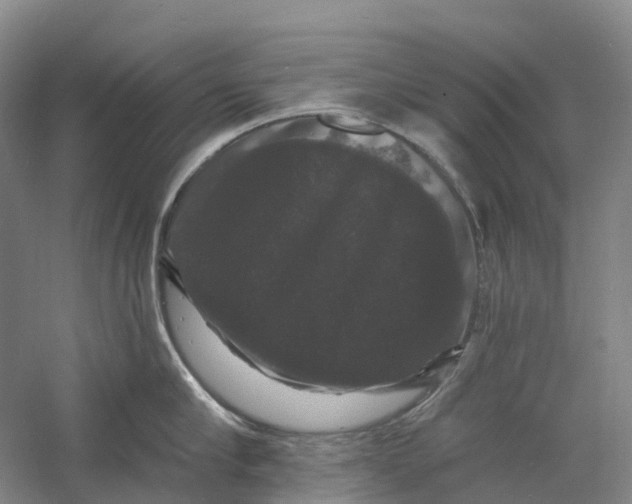 X0000060790910200512011702