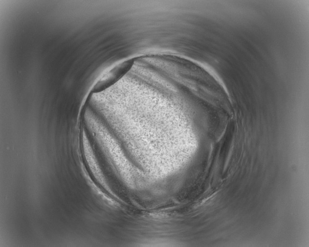 X0000060790911200512011702