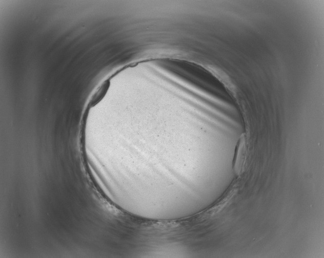 X0000060790912200512011702