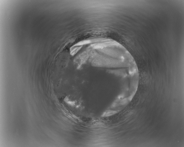 X0000060790913200512011701